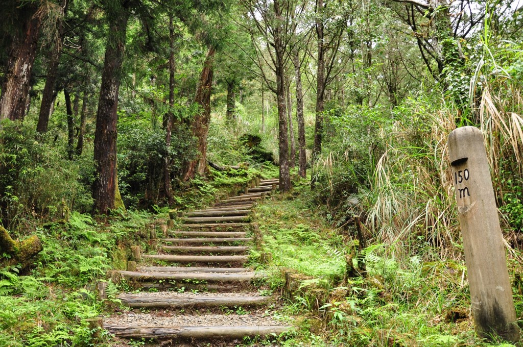 太平山國家森林遊樂區(休園)