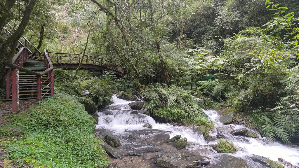 拉拉山國家森林遊樂區(開園)